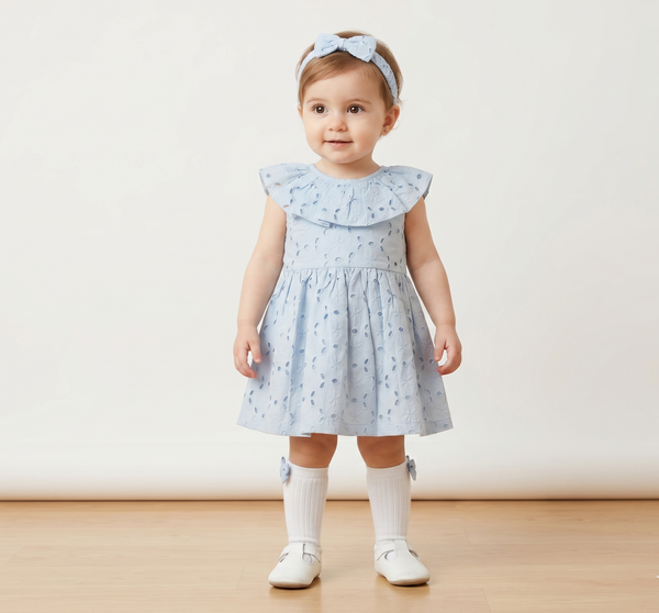 Powder blue schiffly frock set of 3
