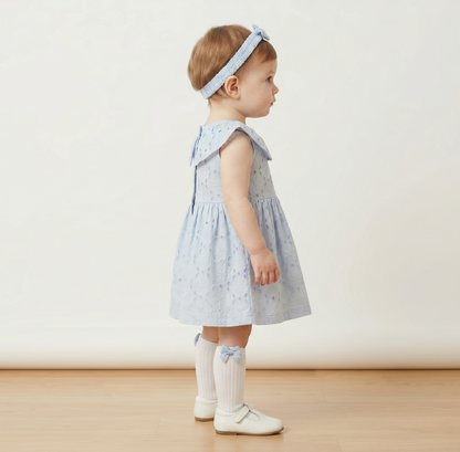 Powder blue schiffly frock set of 3